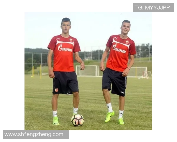 伊利奇与佐加顿的巅峰对决谁能在赛场上笑到最后